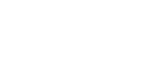 Demo Organisation Logo